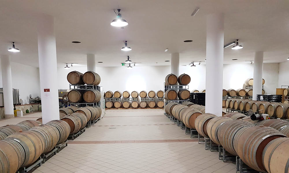 Tenute Soletta wines cellar