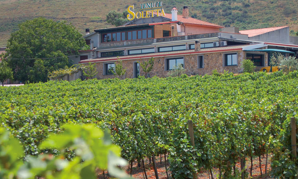 Tenute Soletta Sardinian wine