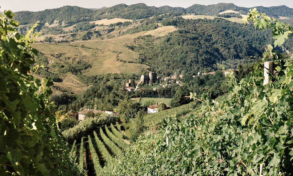 Fattoria Nicolucci wines from Romagna