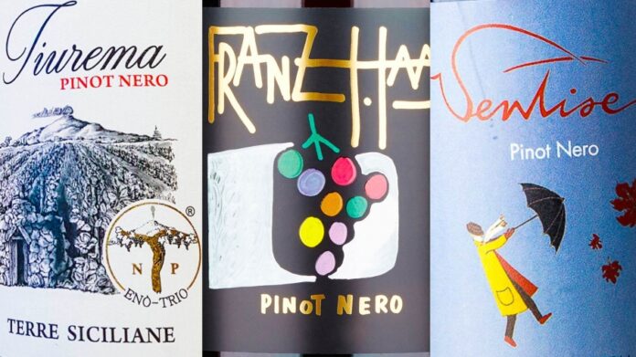 migliori pinot nero