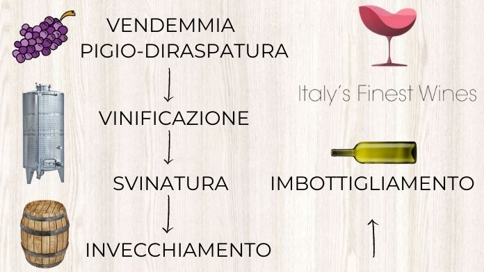 Come si fa il vino-Step della vinificazione