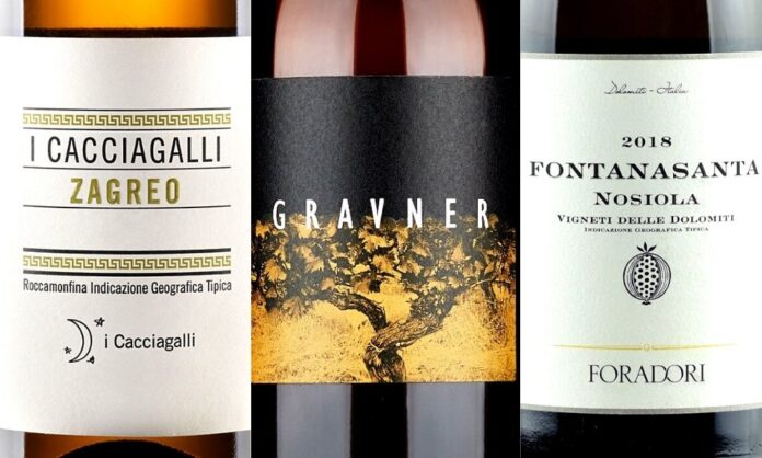 migliori vini anfora italiani jean marco palmieri