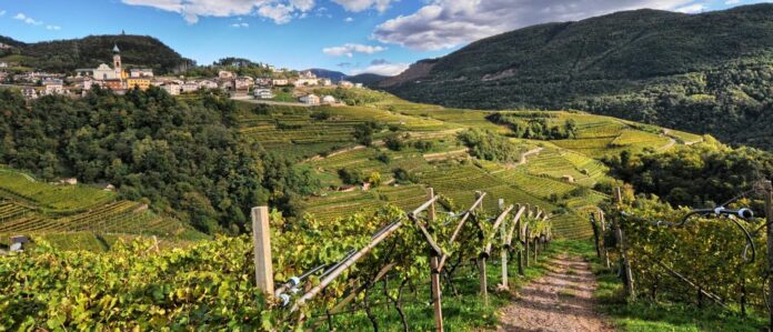 Paesaggio Verla di Giovo_Archivio Fiemme Cembra_Ph. L.Lona_lr